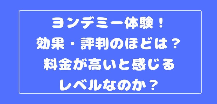 ヨンデミー体験談 効果・評判のほどは？